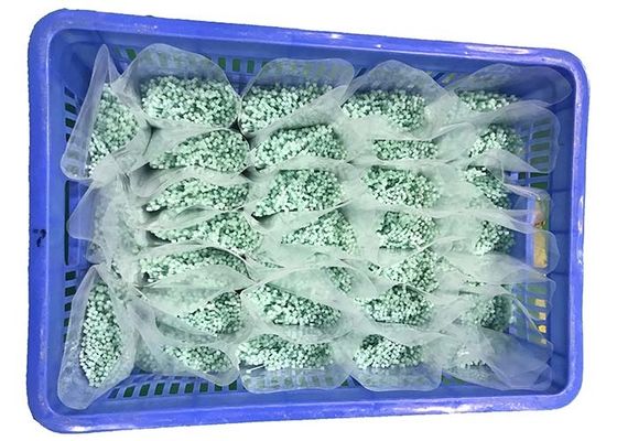 Buy REACH Slight Green 120 Degree 2.5mm Nylon Cable Ties online manufacture